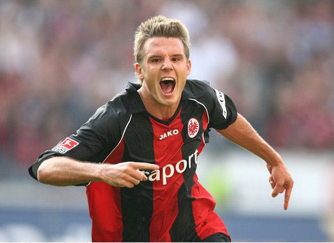 提供丰富多 提供丰富多